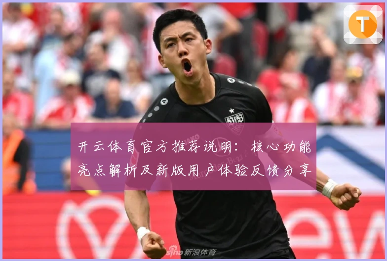 开云体育官方推荐说明：核心功能亮点解析及新版用户体验反馈分享