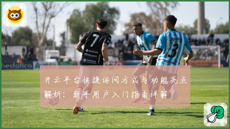 开云平台快捷访问方式与功能亮点解析：新手用户入门指南详解