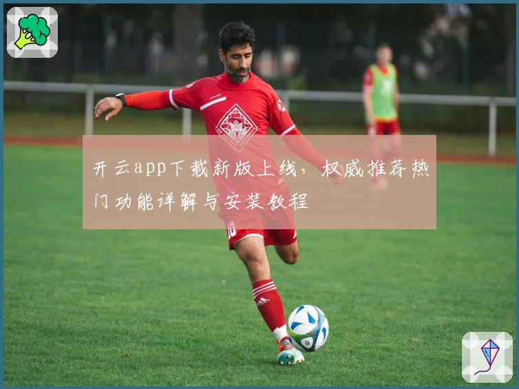 开云app下载新版上线，权威推荐热门功能详解与安装教程